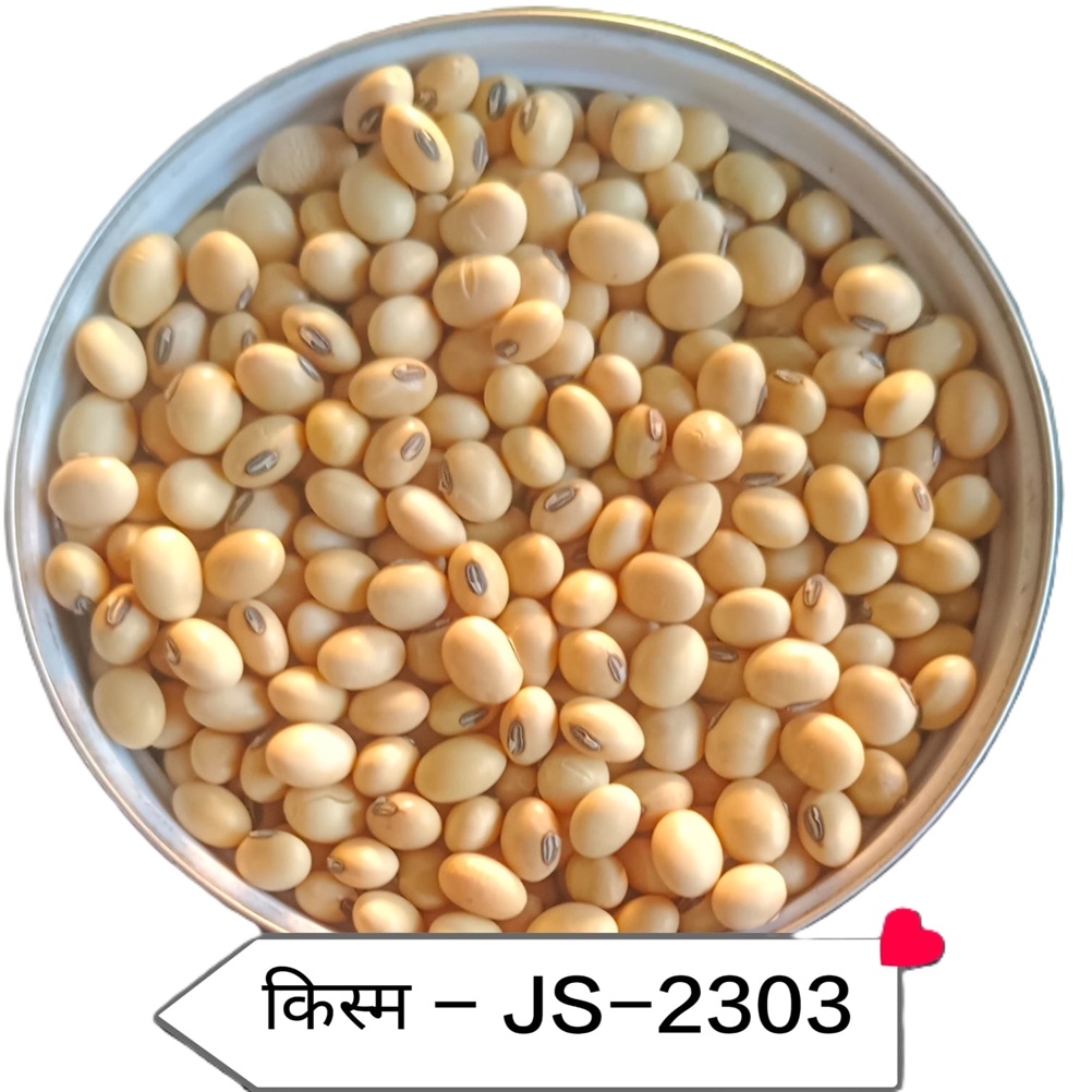 JS-2303 सोयाबीन